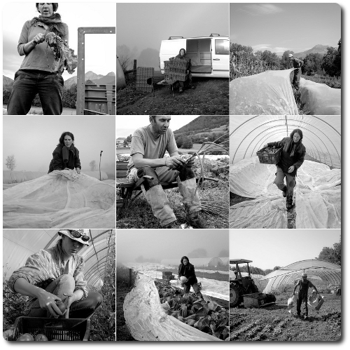 Maraîchères, Maraîchers, Portraits