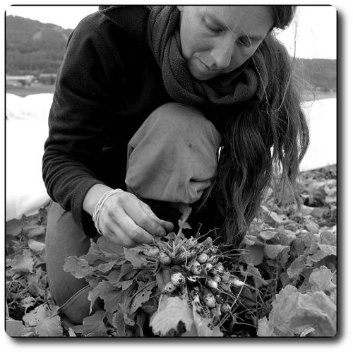 Sophie Jaussaud - Maraichère bio - Ancelle (Hautes-Alpes)
