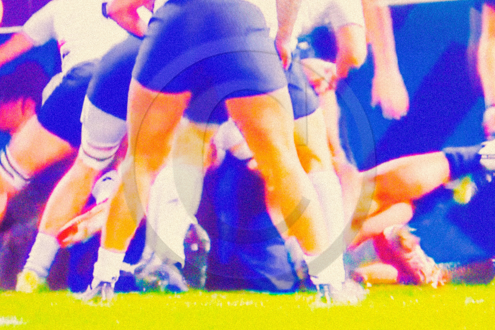 Rugby féminin