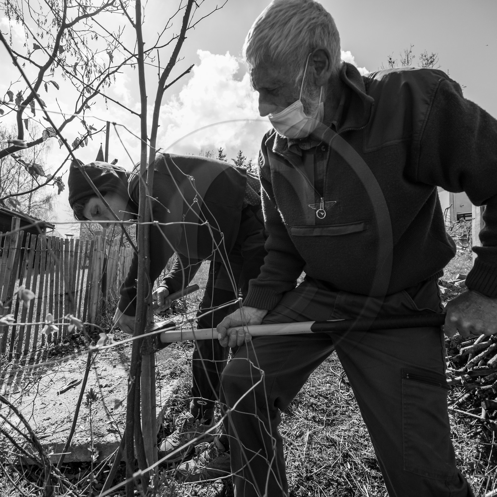 14 avril 2021 : collages, taille, jardinage