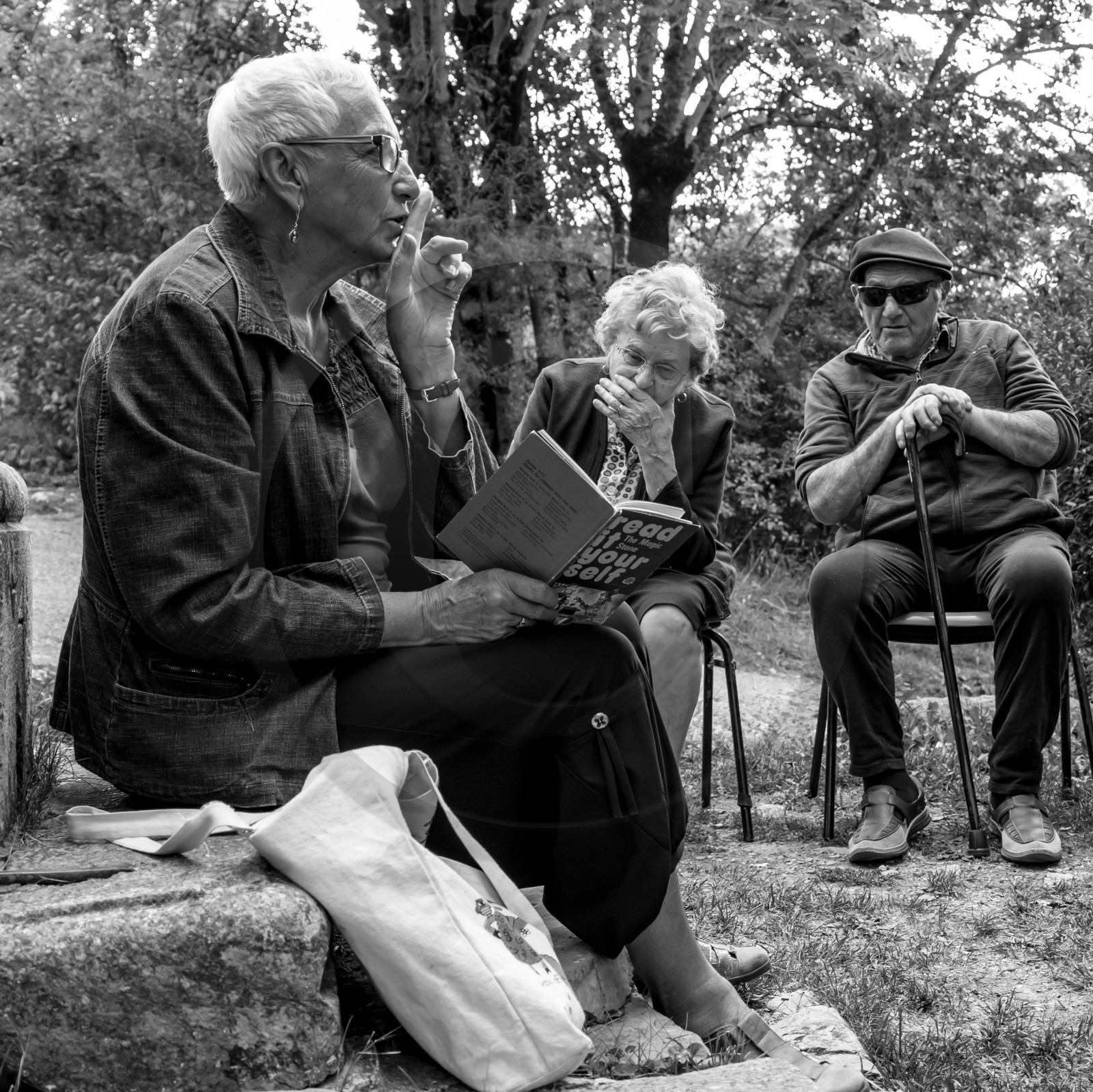 Promenade en calèche et contes