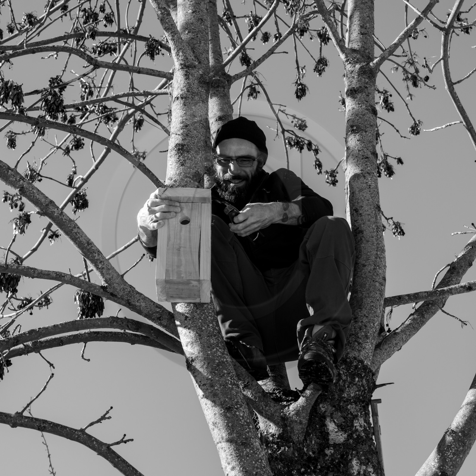 06 février 2019 : la pose des nichoirs