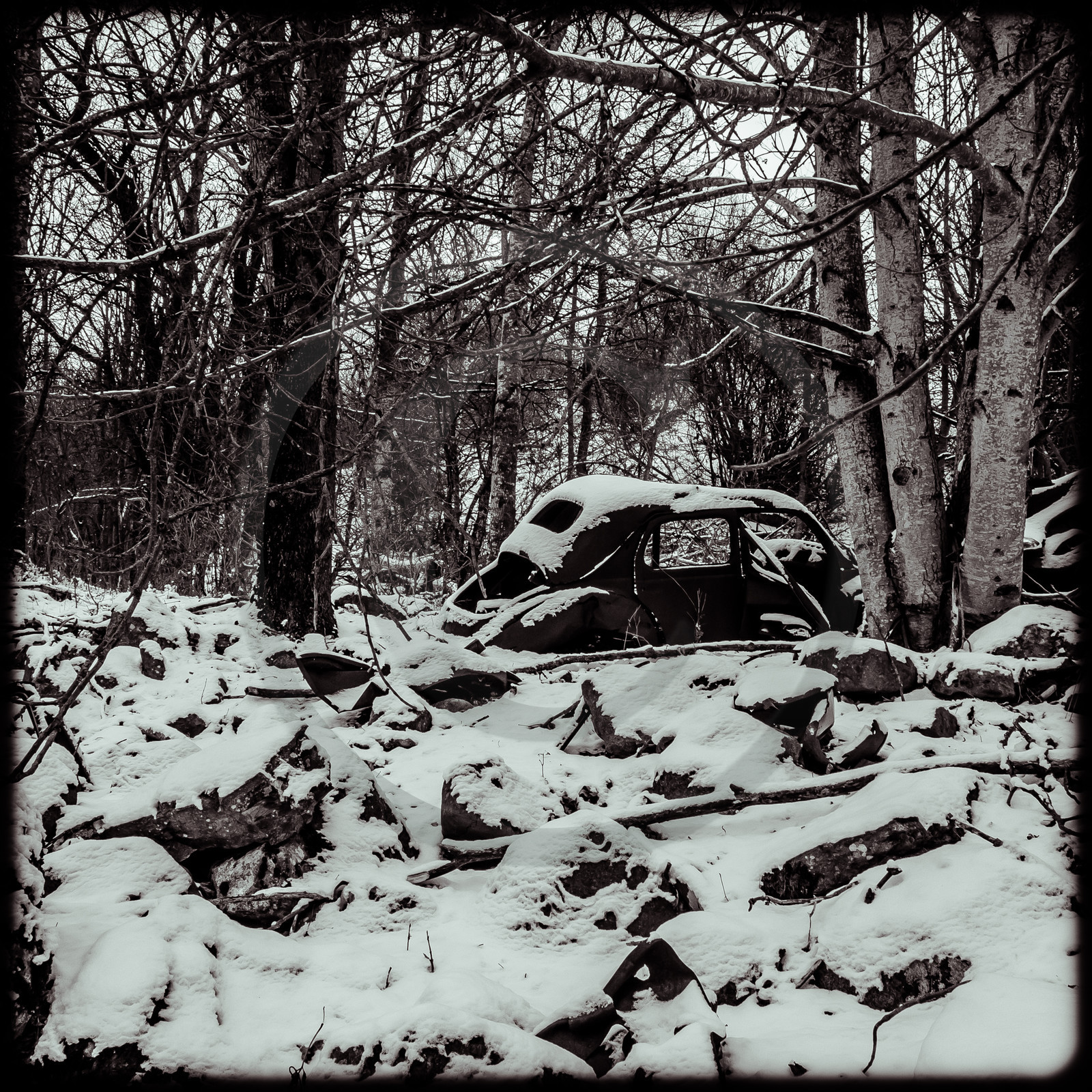 Un cimetière de voitures