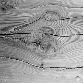 Construction d'une cabane