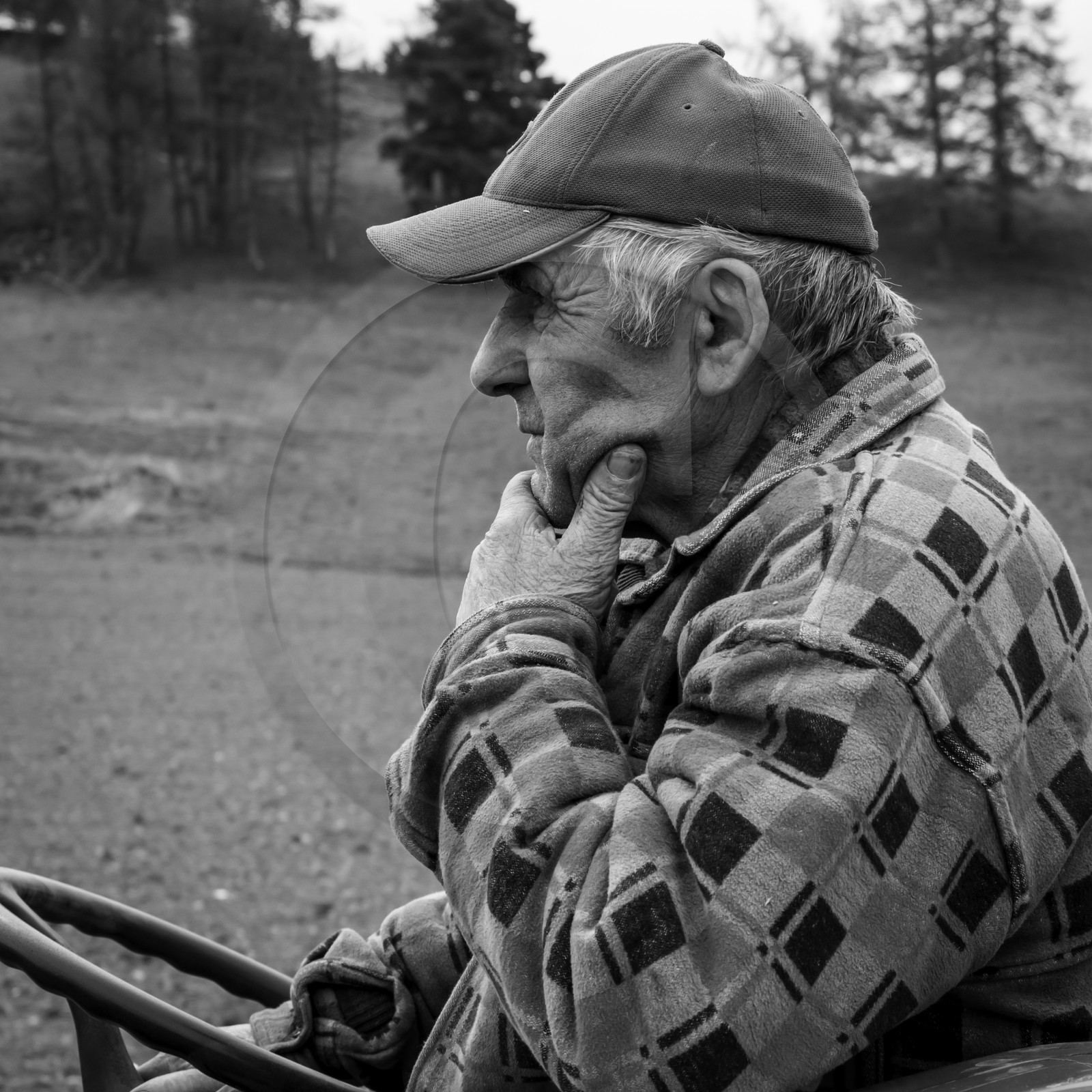 La plantation des pommes de terre