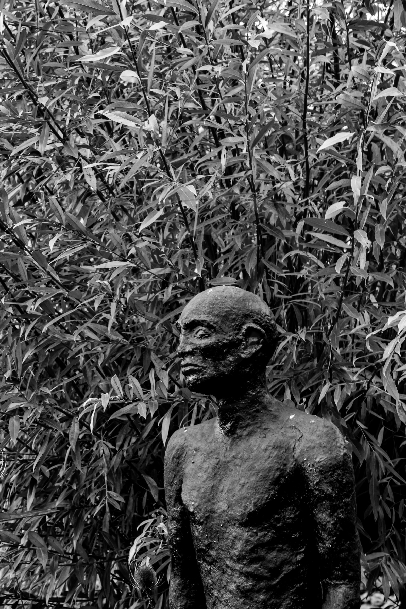 Exposition La forêt d'hommes, une création de Barbara Fougnon, artiste plasticienne Exposition La forêt d'hommes, une création de Barbara Fougnon, artiste plasticienne