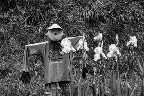 05 juin 2023 : journée des aidants et des aidés