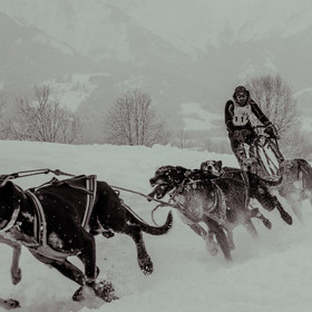 La Valgaude Traineau 2015