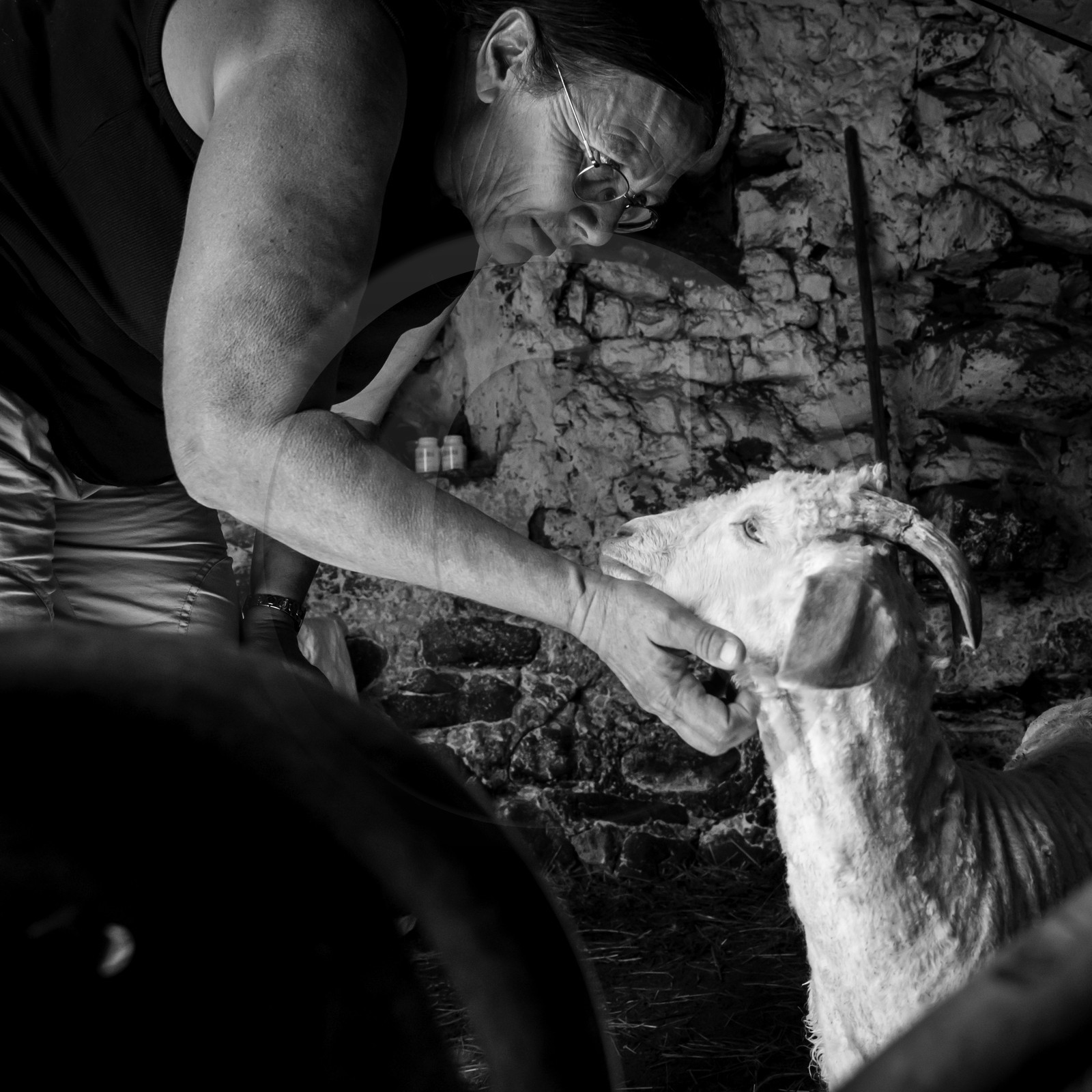 Le mohair arc en ciel