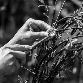 28 mai 2025 : Jeux, Osier, Photos, Jardinage...