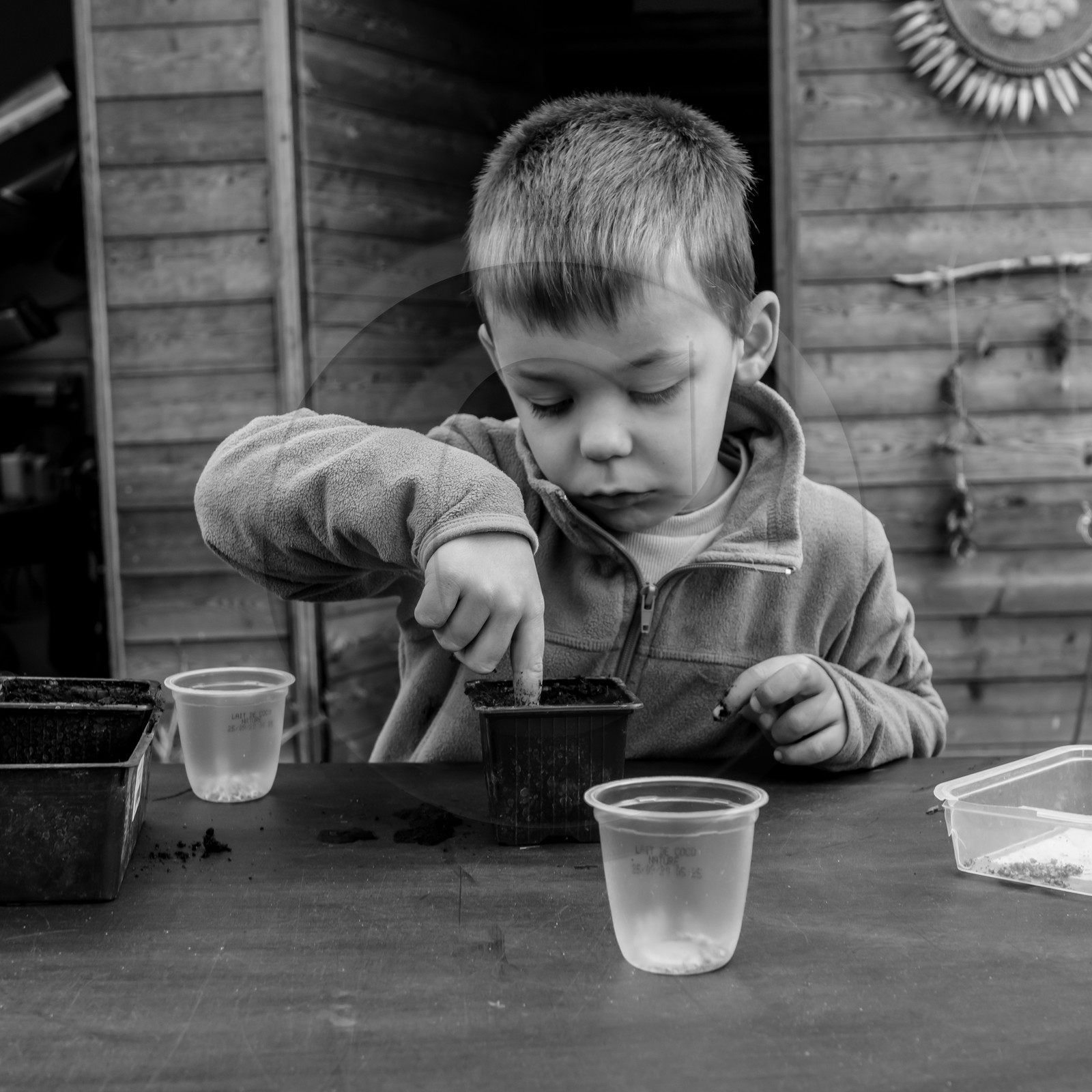Semis, tournesols et jeux Semis, tournesols et jeux