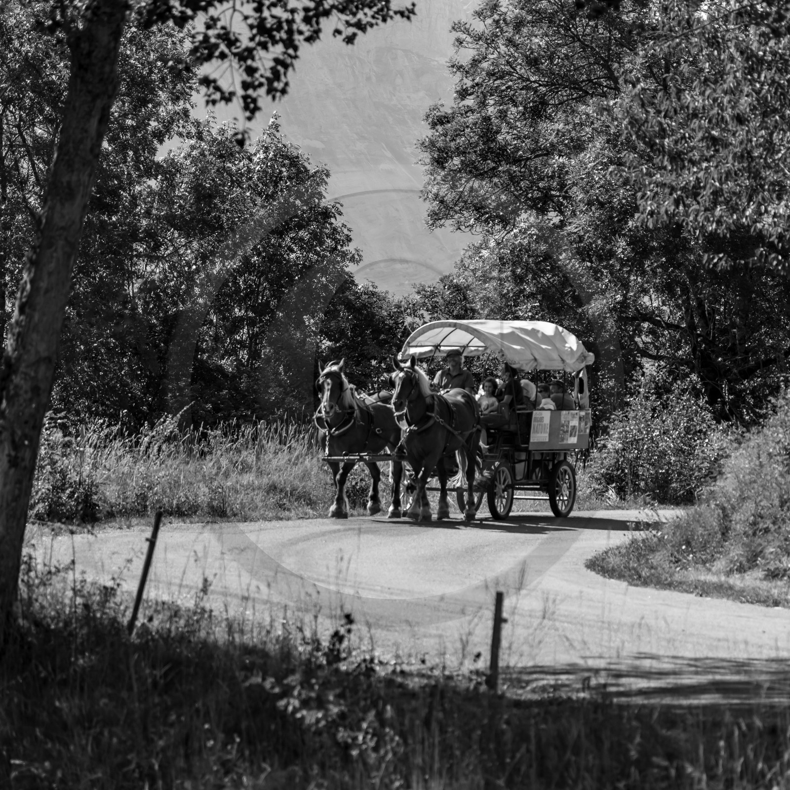 01 septembre 2021 : Promenade en cariole et contes