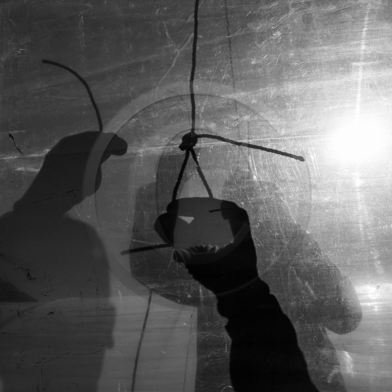 Montage de serres tunnel