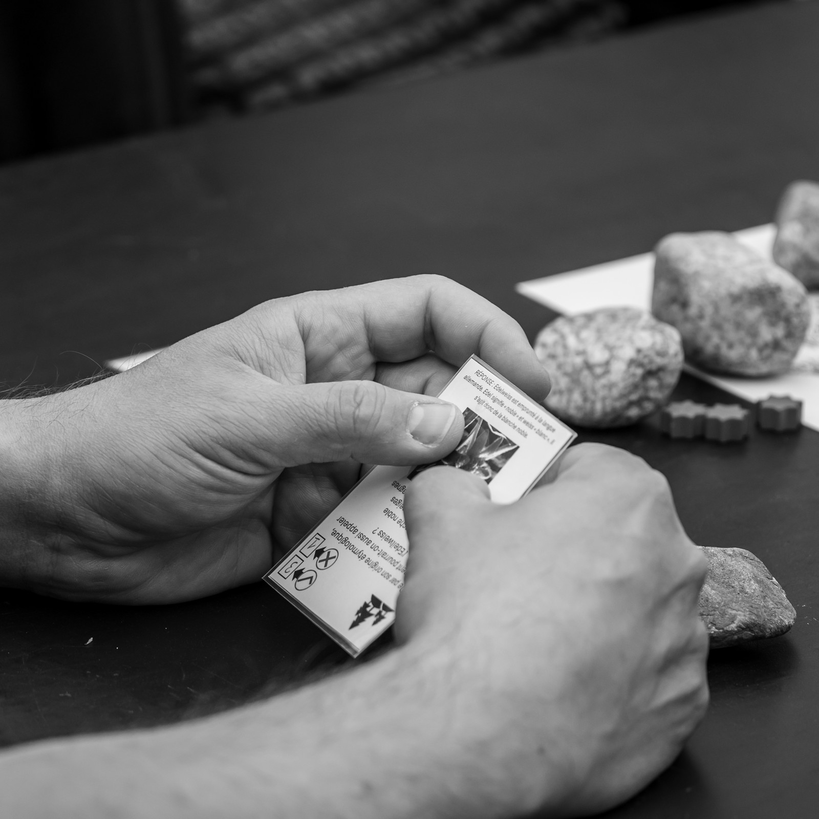 28 mai 2025 : Jeux, Osier, Photos, Jardinage...