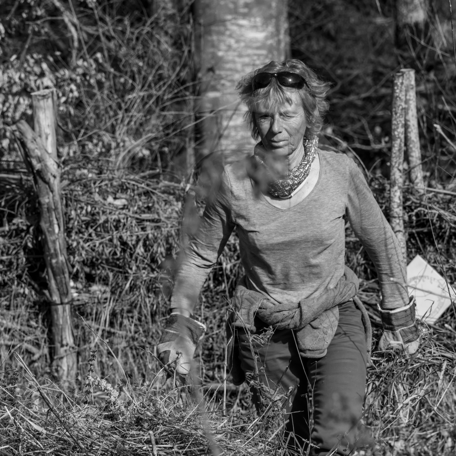 24 février 2021 : on taille, on prépare le jardin... 24 février 2021 : on taille, on prépare le jardin...