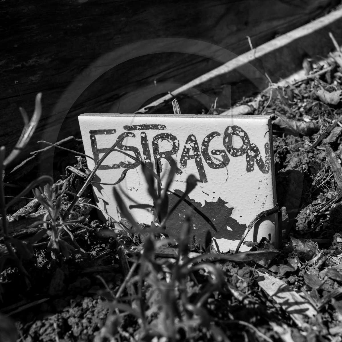 Atelier laine et promenade au jardin Atelier laine et promenade au jardin