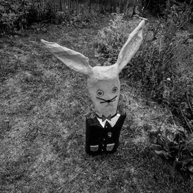 Exposition Alice