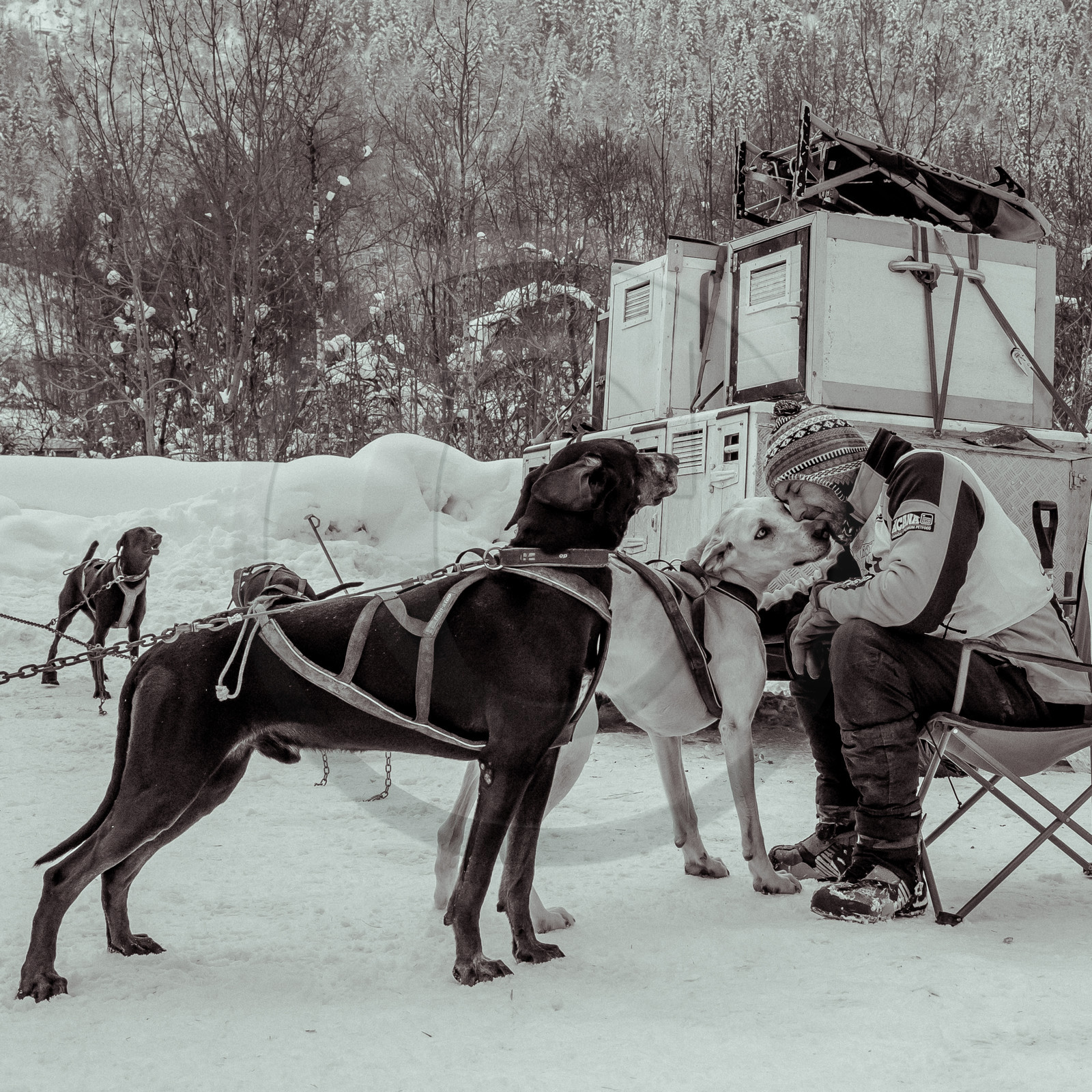 La Valgaude Traineau 2015