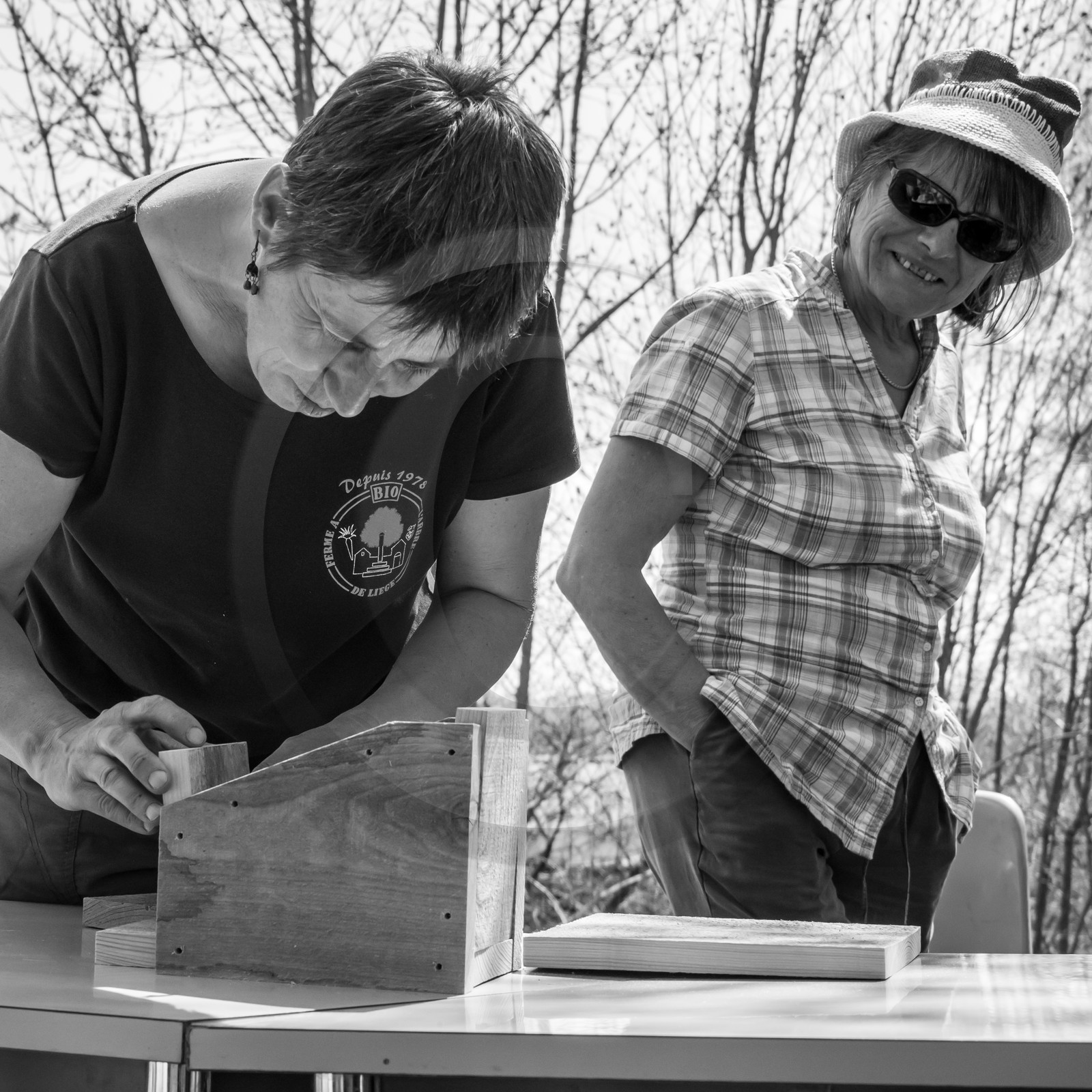 Fabrication de Nichoirs