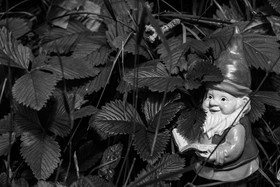 17 juillet 2023 : Journée des aidants et des aidés