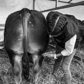Rencontres paysannes à Saint-Bonnet en Champsaur