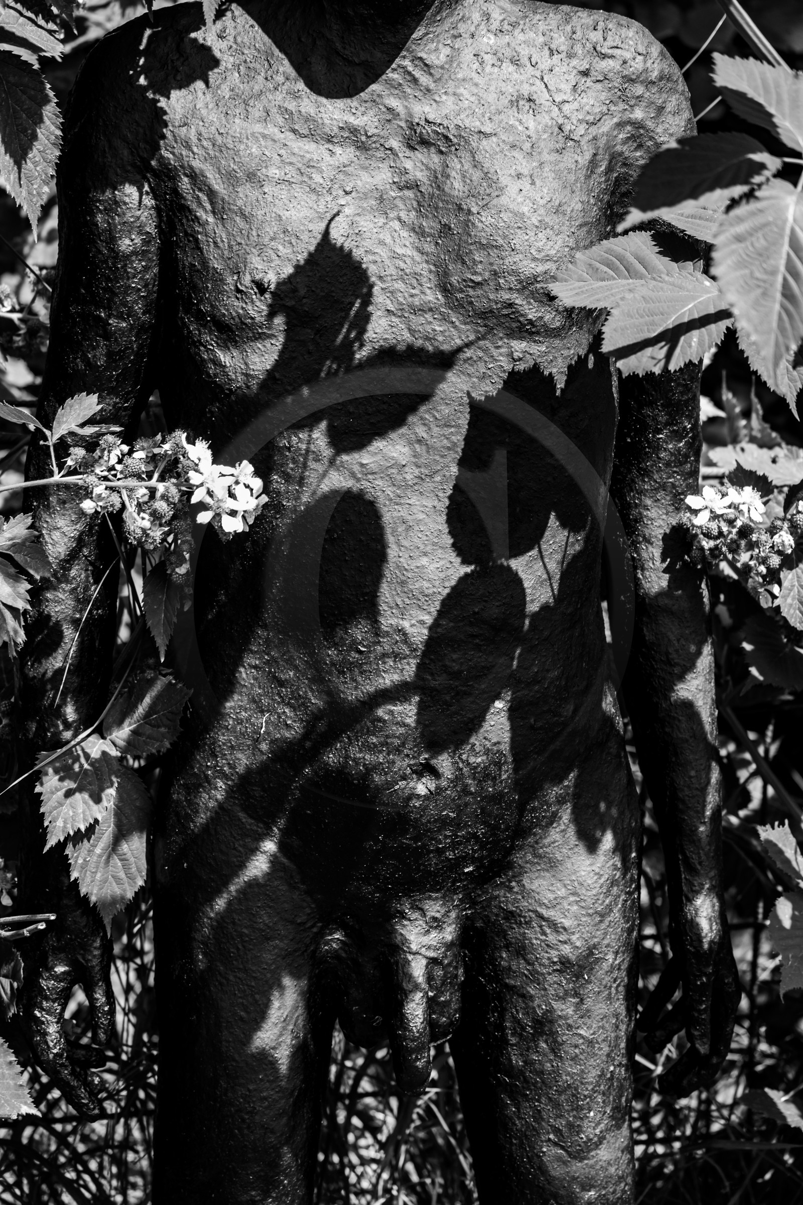 Exposition La forêt d'hommes, une création de Barbara Fougnon, artiste plasticienne