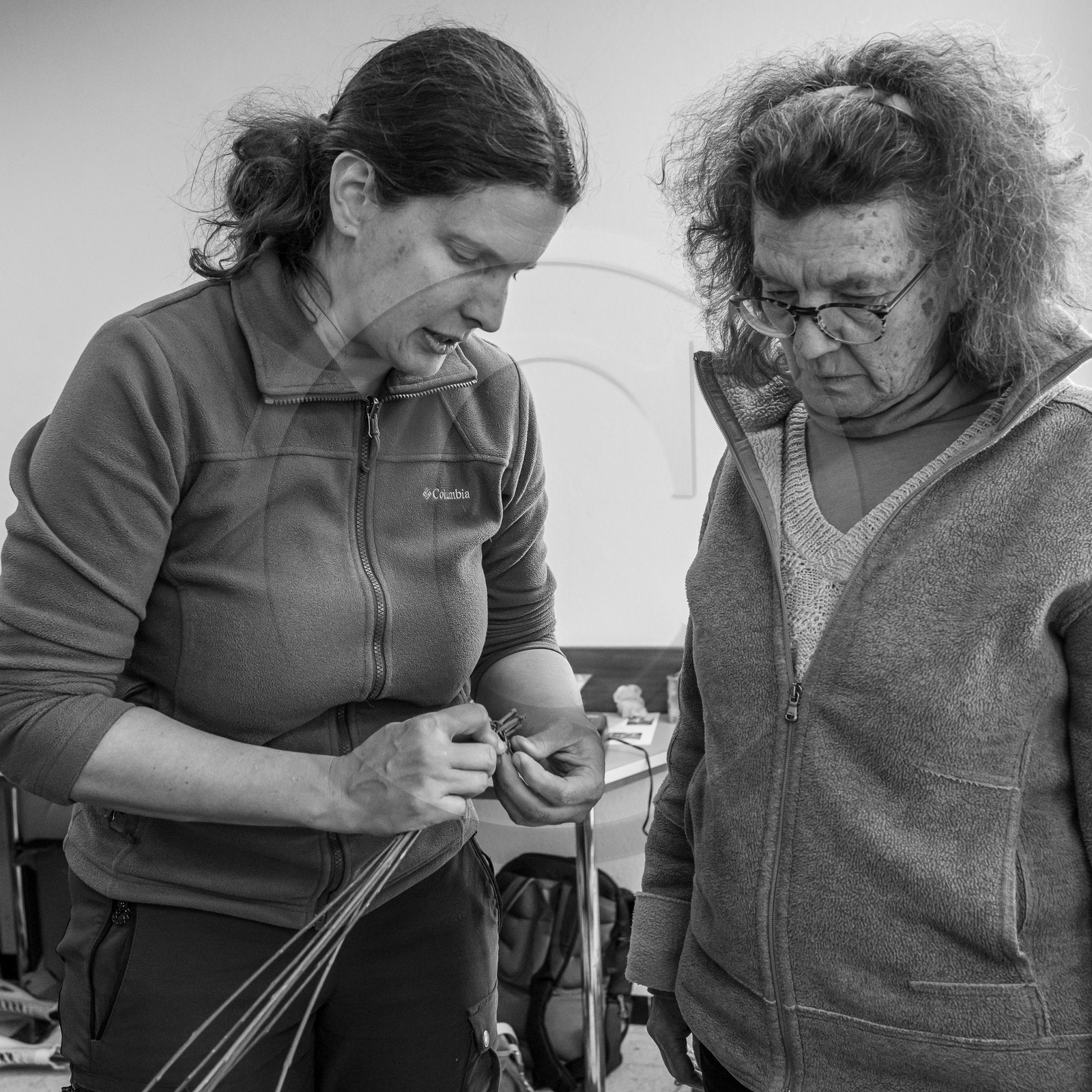 10 avril 2024 : Osier, laine et taille 10 avril 2024 : Osier, laine et taille