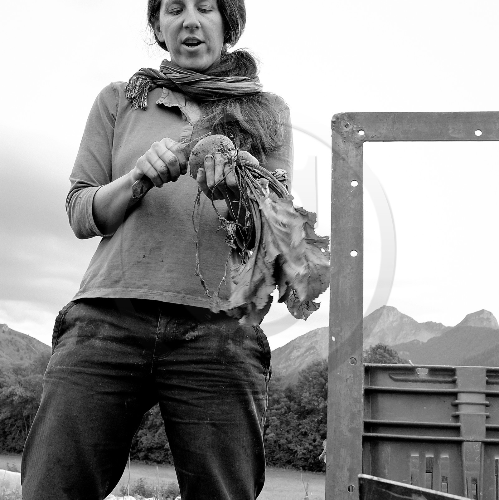 Sophie Jaussaud, maraichère à Ancelle Sophie Jaussaud, maraichère à Ancelle