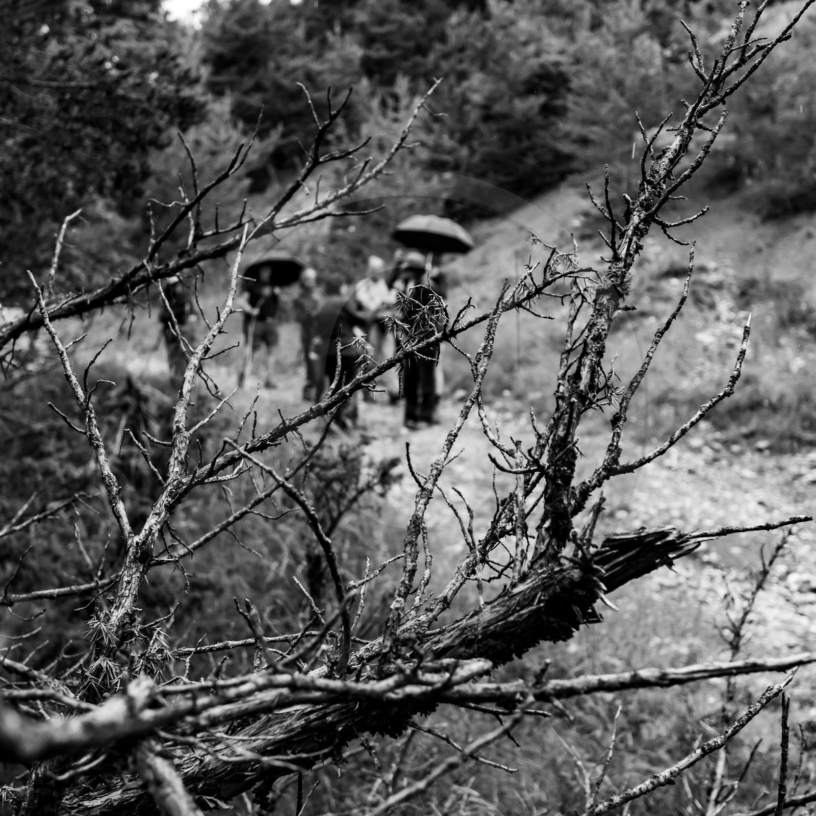 04 juillet 2021 : Journée Art & Nature