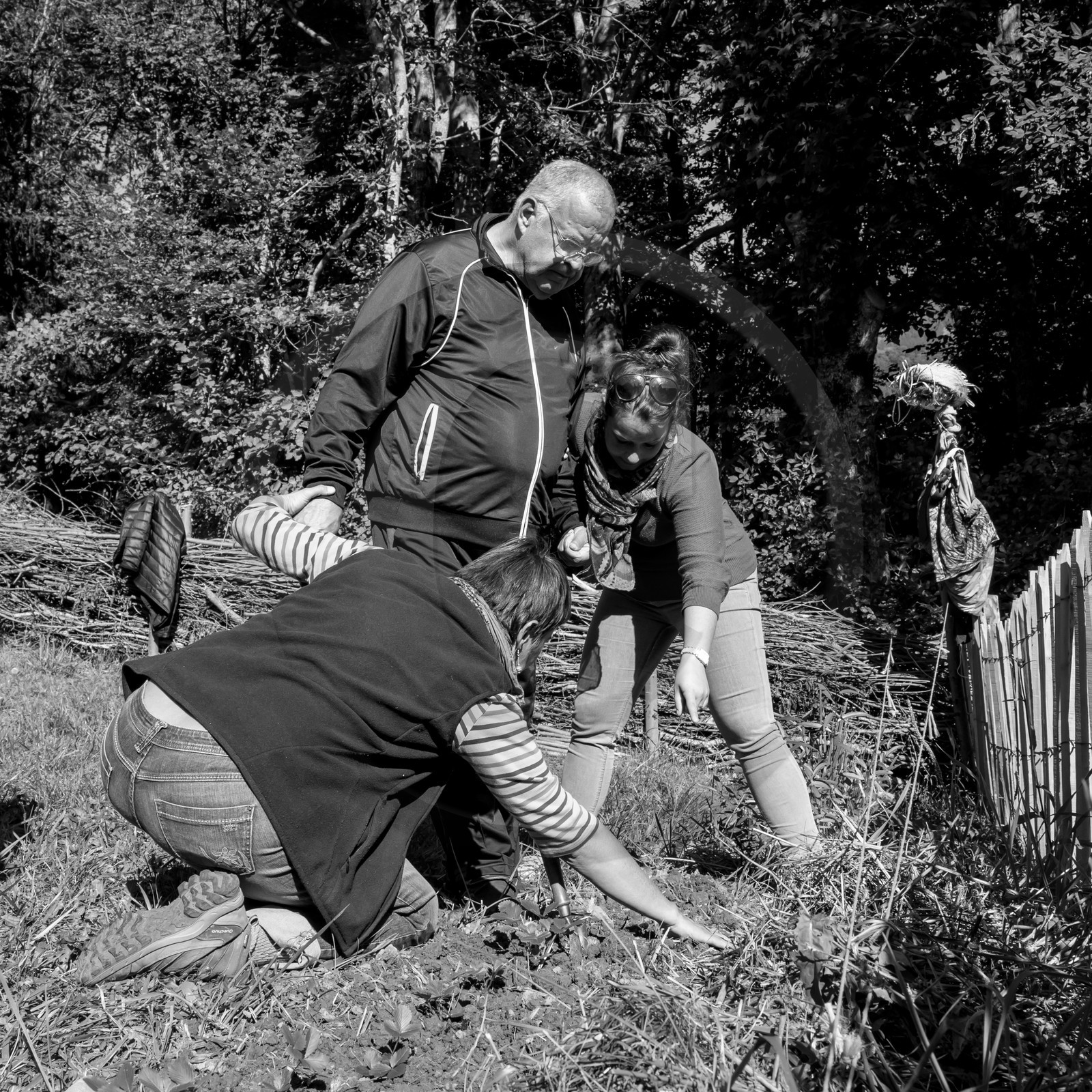 20 septembre 2017 - Jardinage 20 septembre 2017 - Jardinage