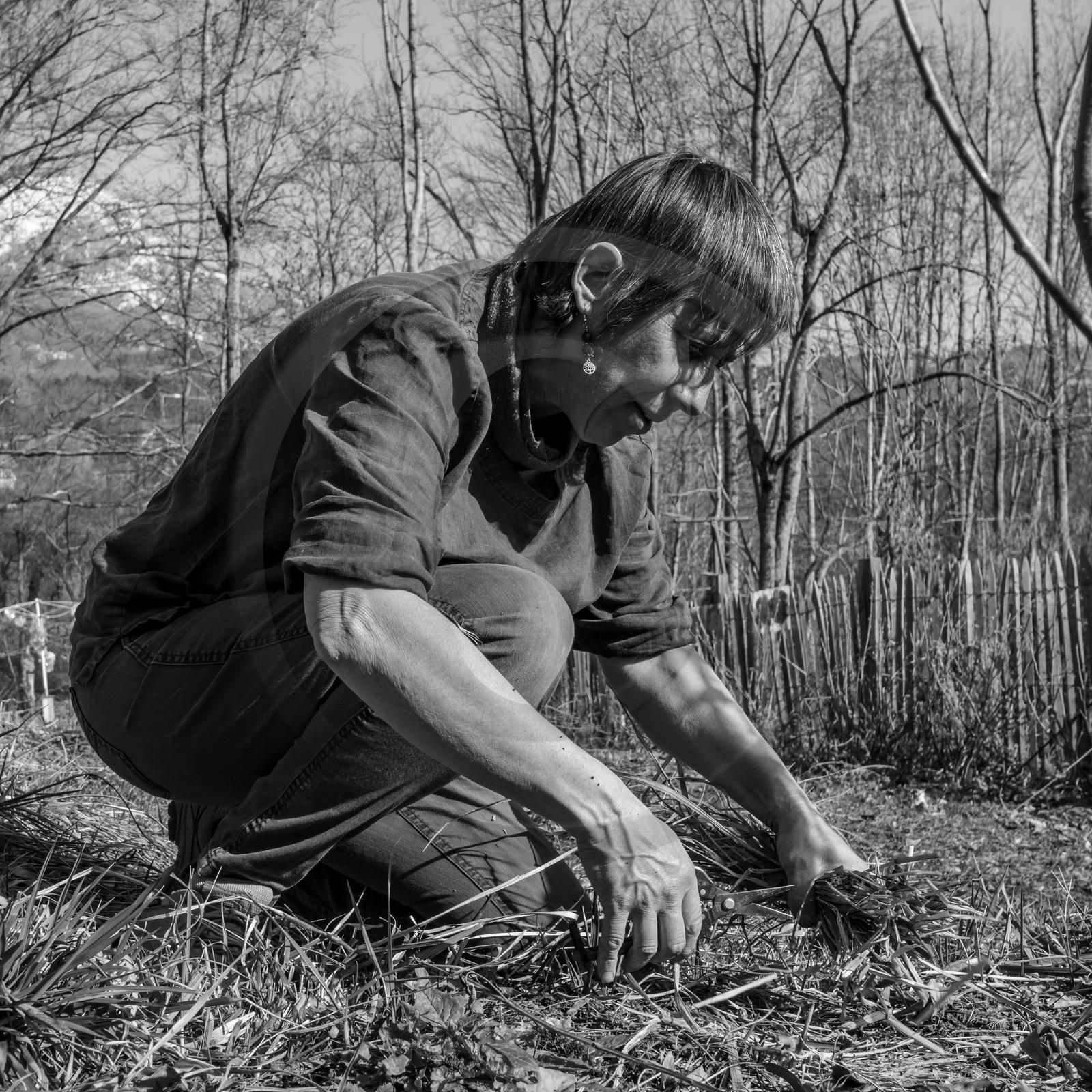 24 février 2021 : on taille, on prépare le jardin... 24 février 2021 : on taille, on prépare le jardin...