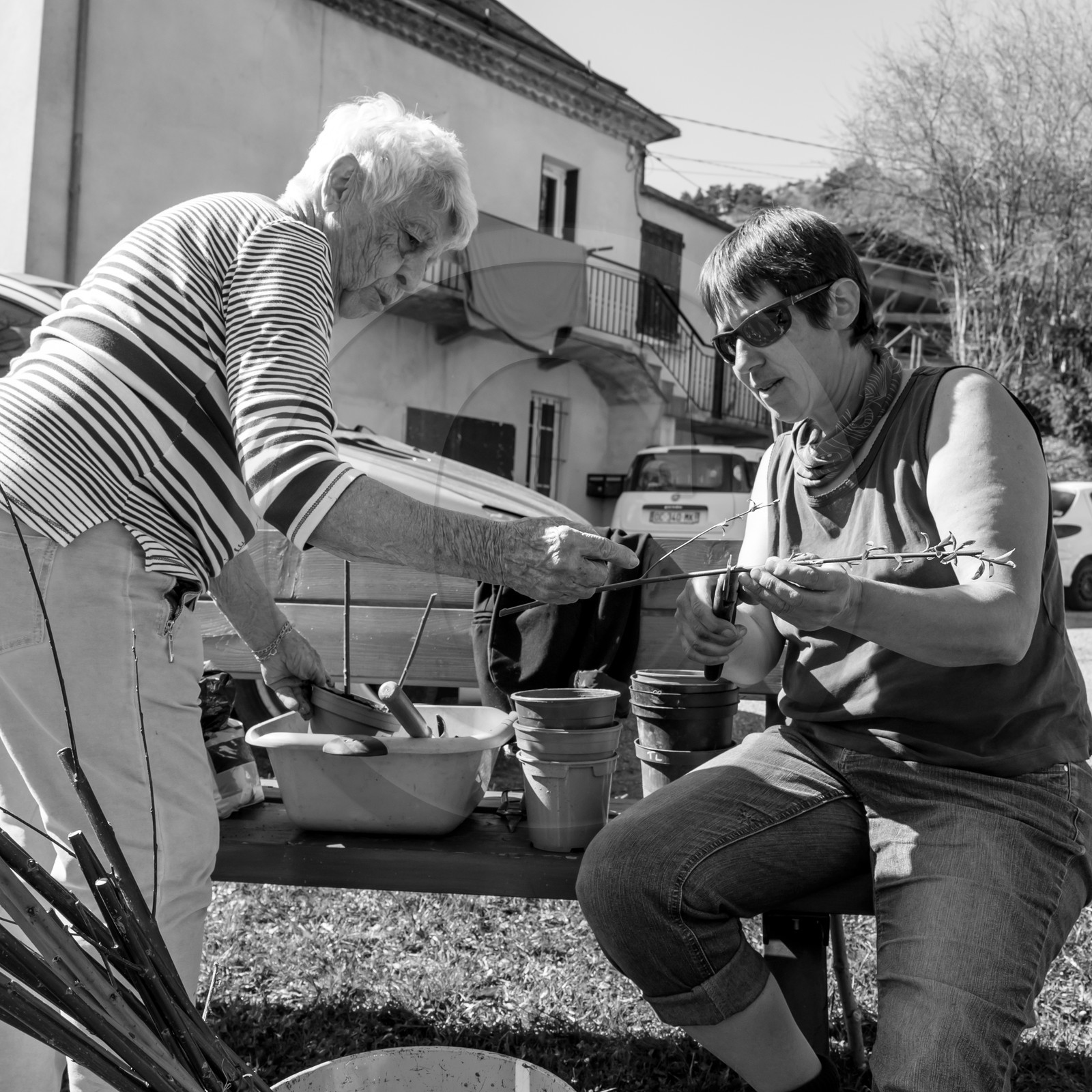 L'Ouort de Bénévent - 29 mars 2017 L'Ouort de Bénévent - 29 mars 2017