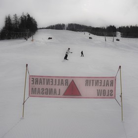 dlebioda-L1011323.jpg