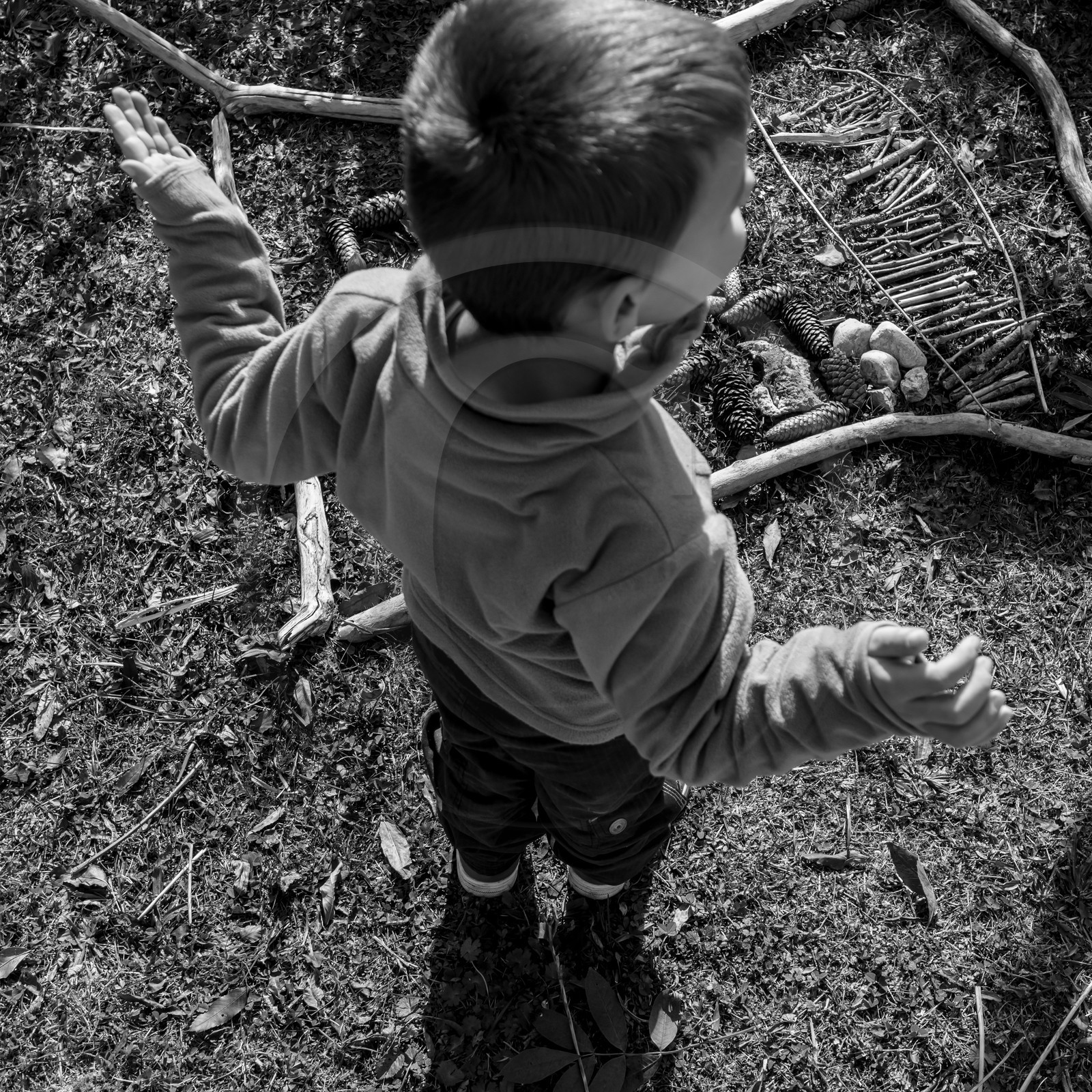 Semis, tournesols et jeux