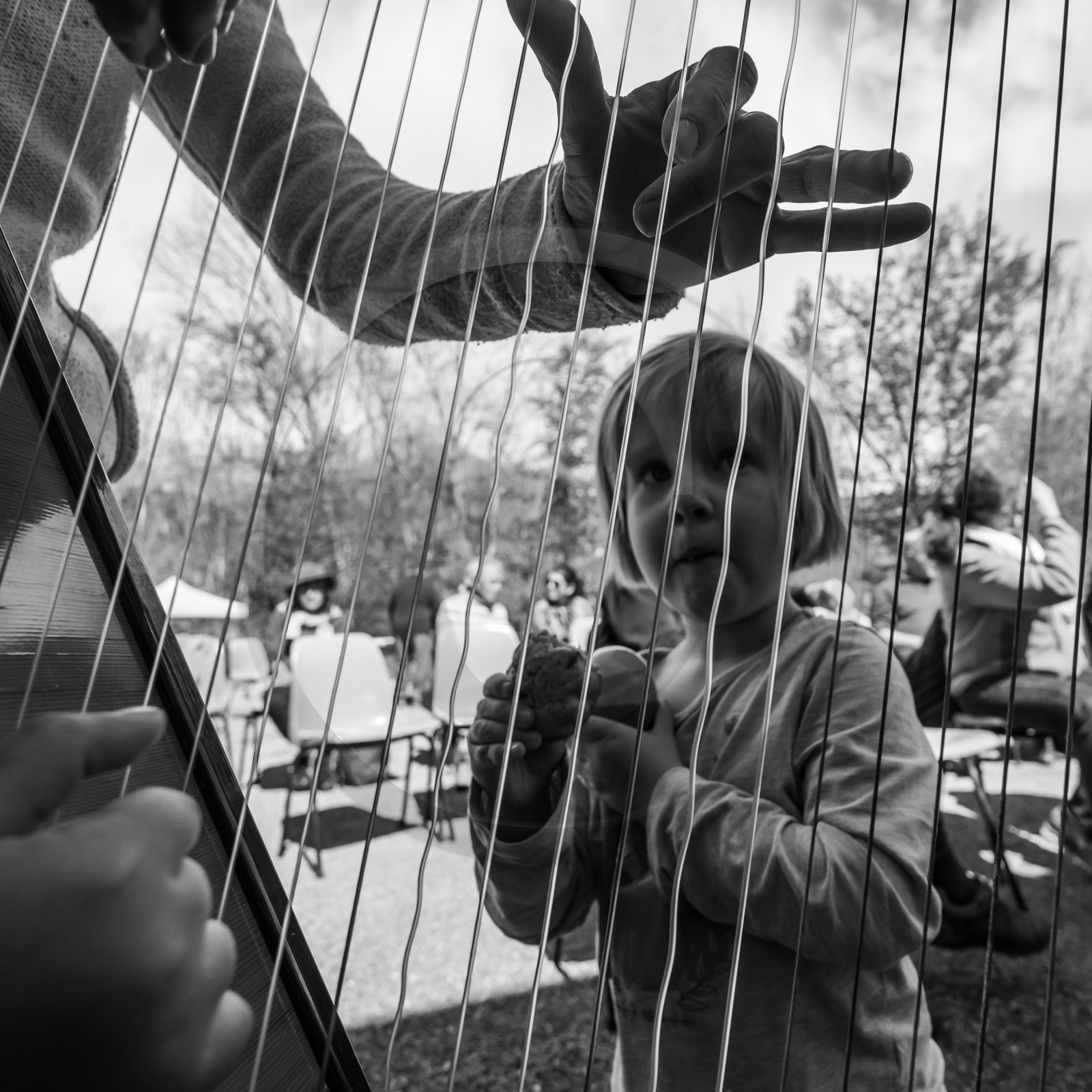 Animation musicale avec Philippe Séranne