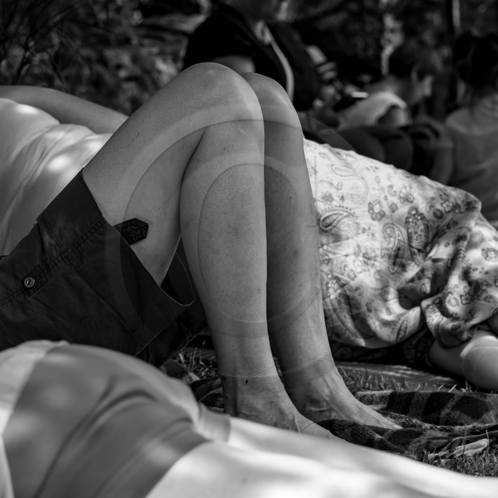 21 juillet 2021 : Sieste musicale avec Matthieu Duval