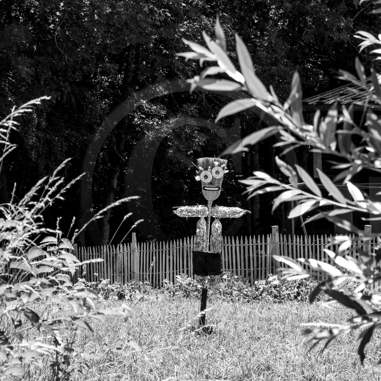 05 juillet 2017 - Installation épouvantails