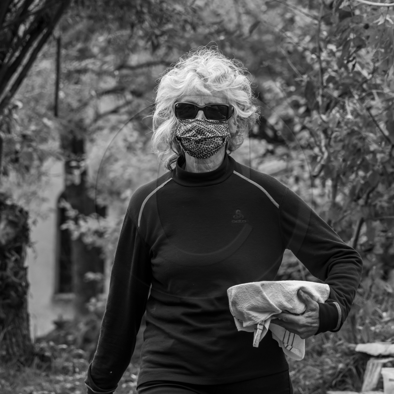 Semis, tournesols et jeux Semis, tournesols et jeux