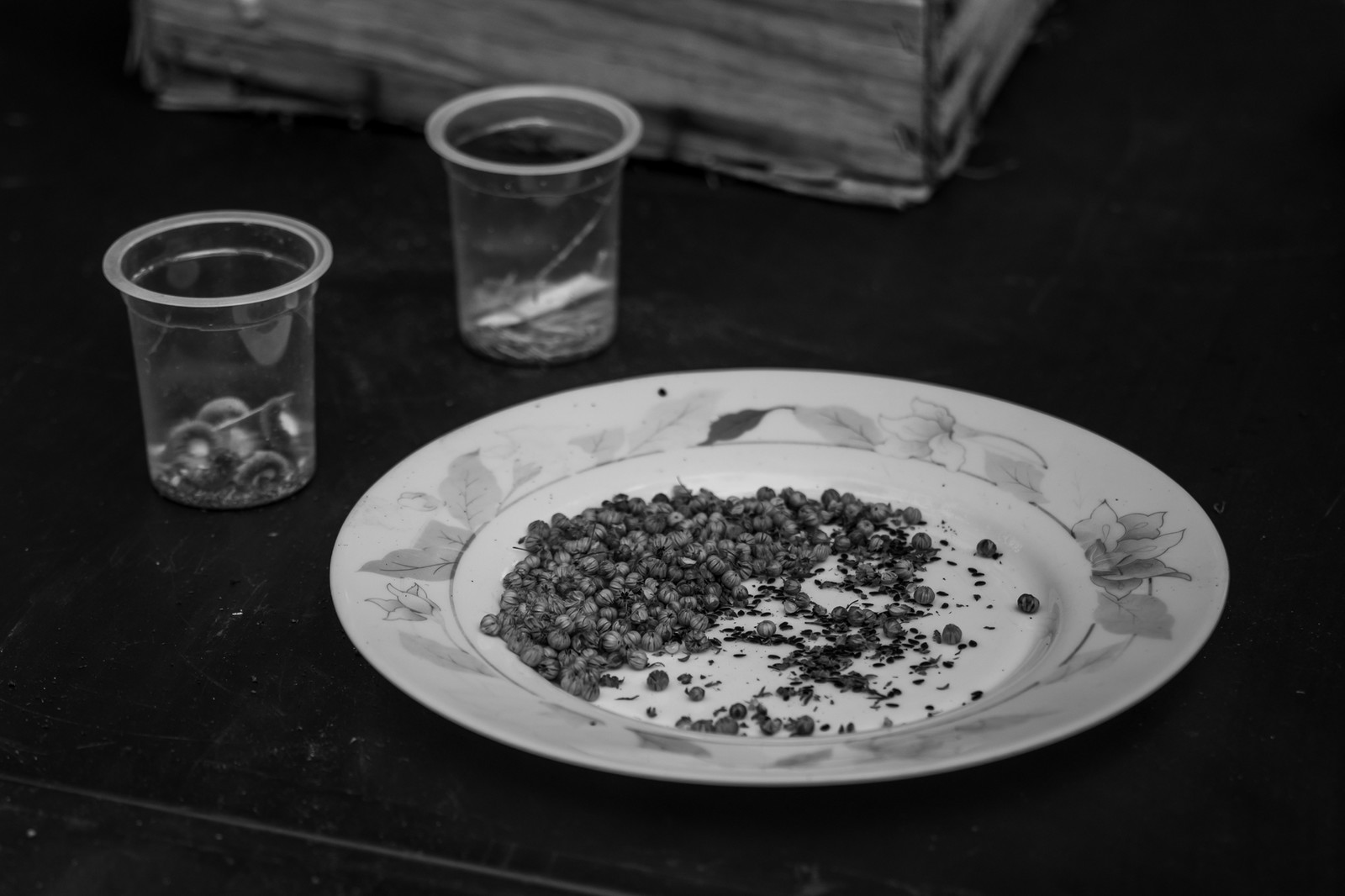 Le Noyer, village champsaurin