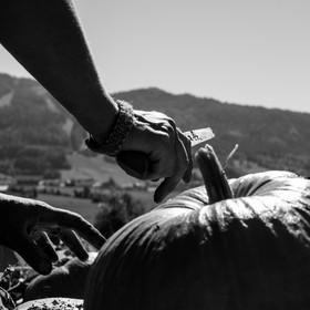 dlebioda-03102016-L1174322.jpg
