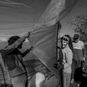 Montage de serres tunnel