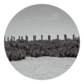 Les instants Camargue