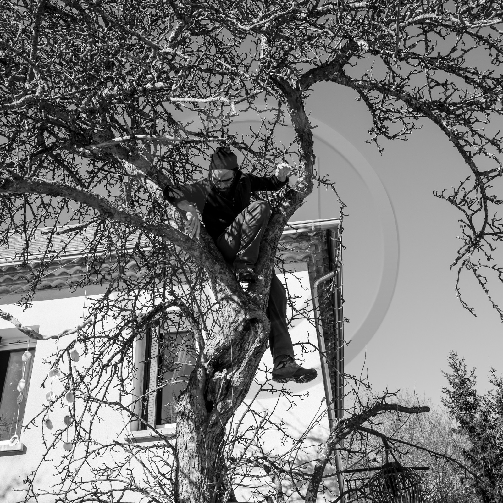 06 février 2019 : la pose des nichoirs 06 février 2019 : la pose des nichoirs