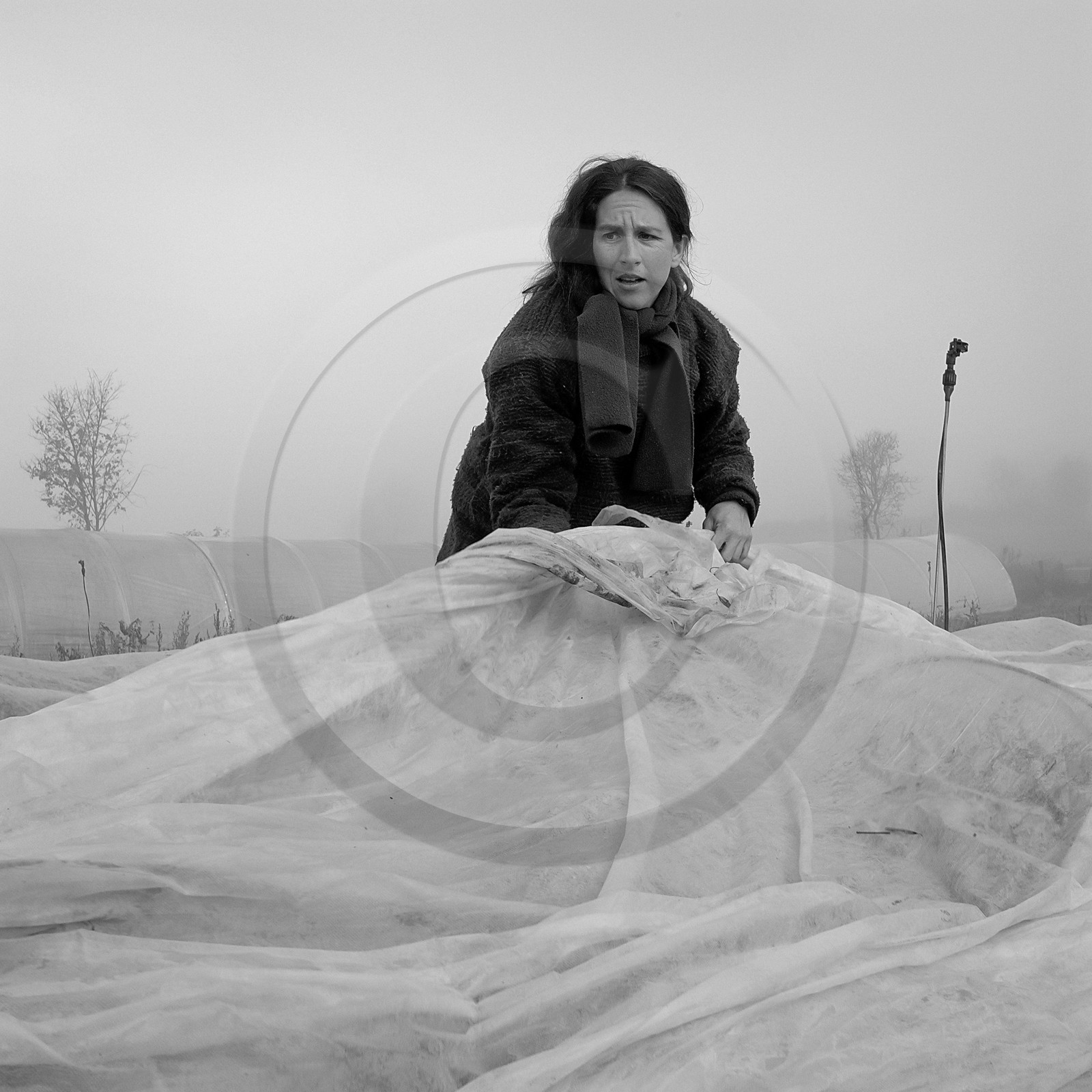 Sophie Jaussaud, maraichère à Ancelle Sophie Jaussaud, maraichère à Ancelle