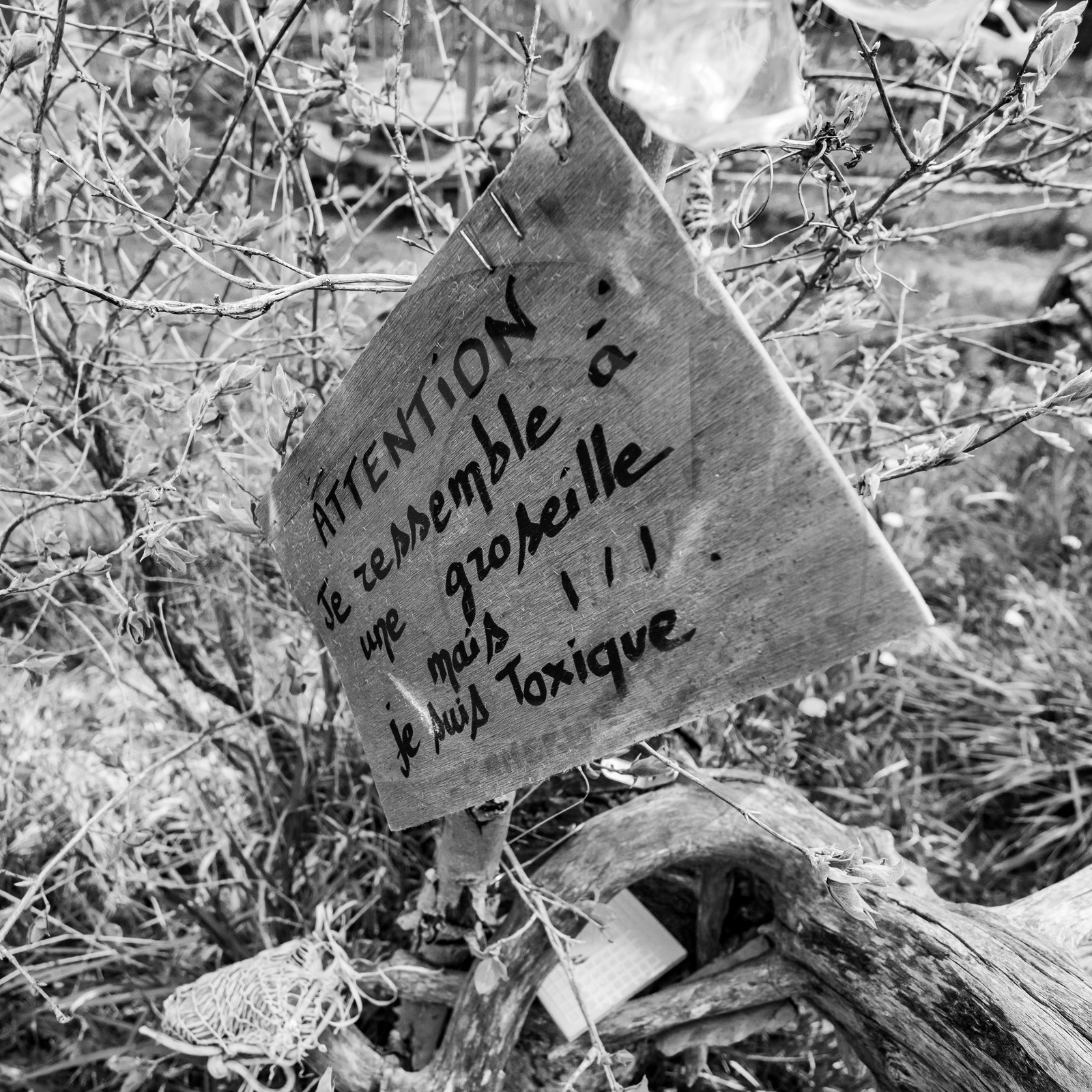 21 avril : jardinage, collages, peinture