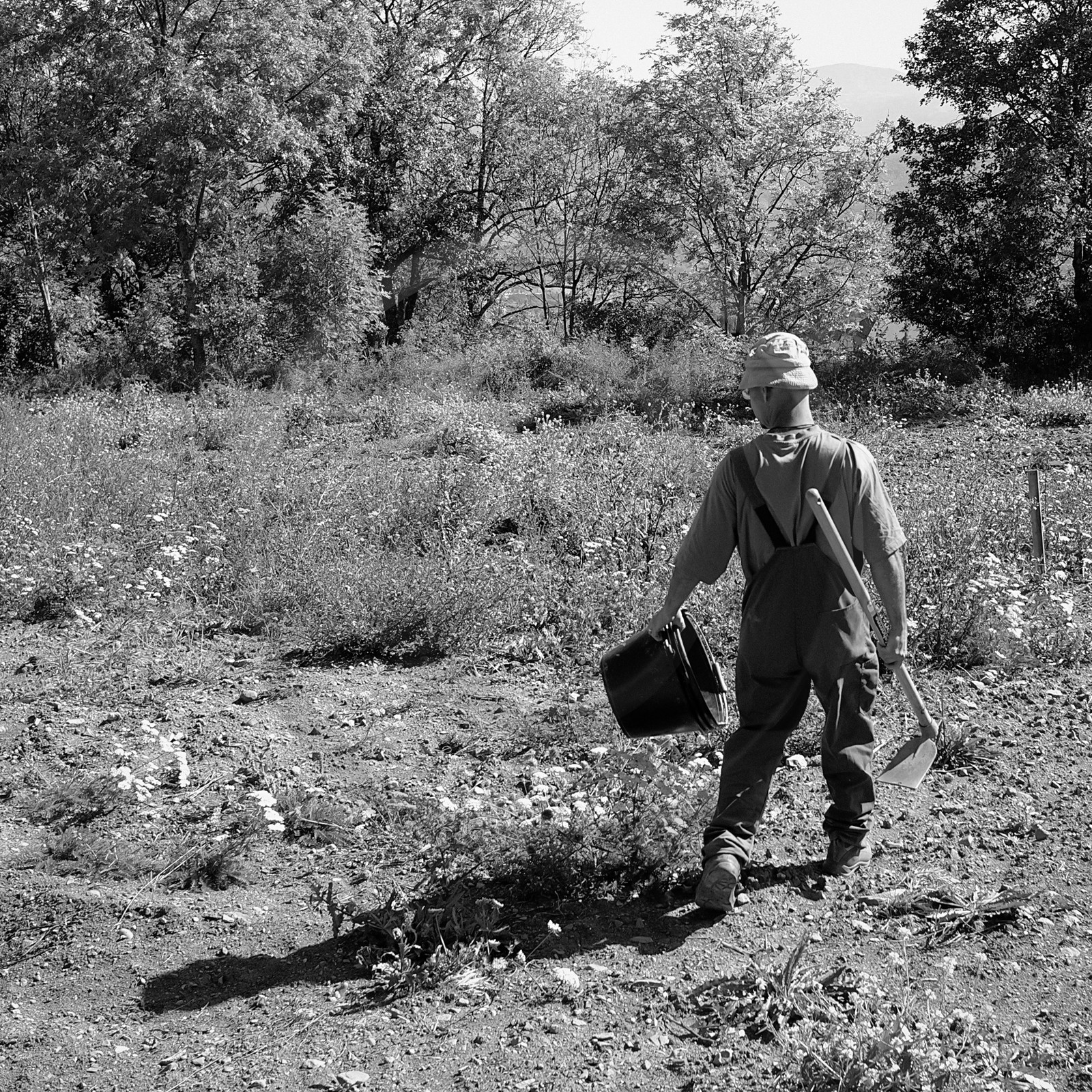 Stéphane Saint-Aubin, maraicher à Pelleautier