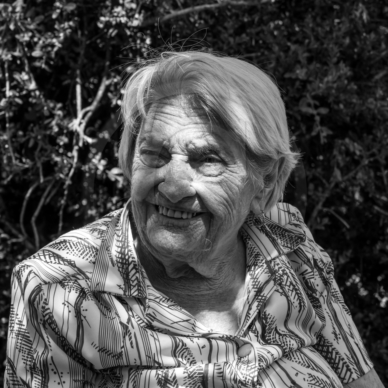 23 août 2017 - Animations