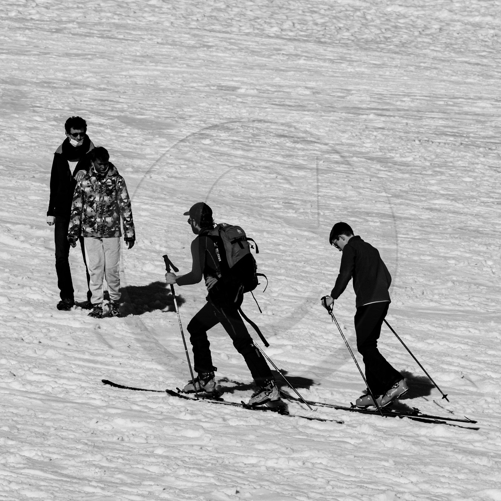 Les confineigés