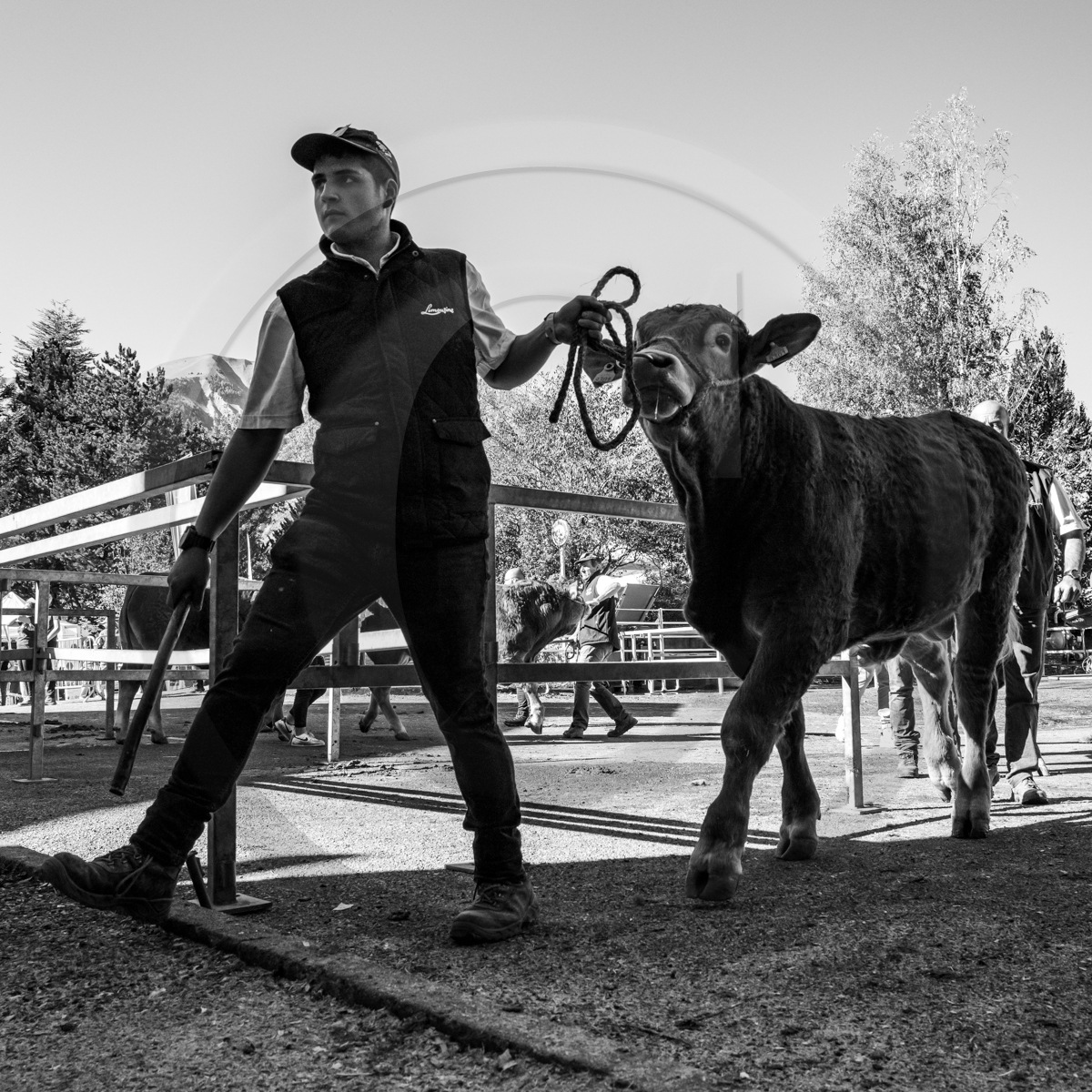Rencontres paysannes à Saint-Bonnet en Champsaur