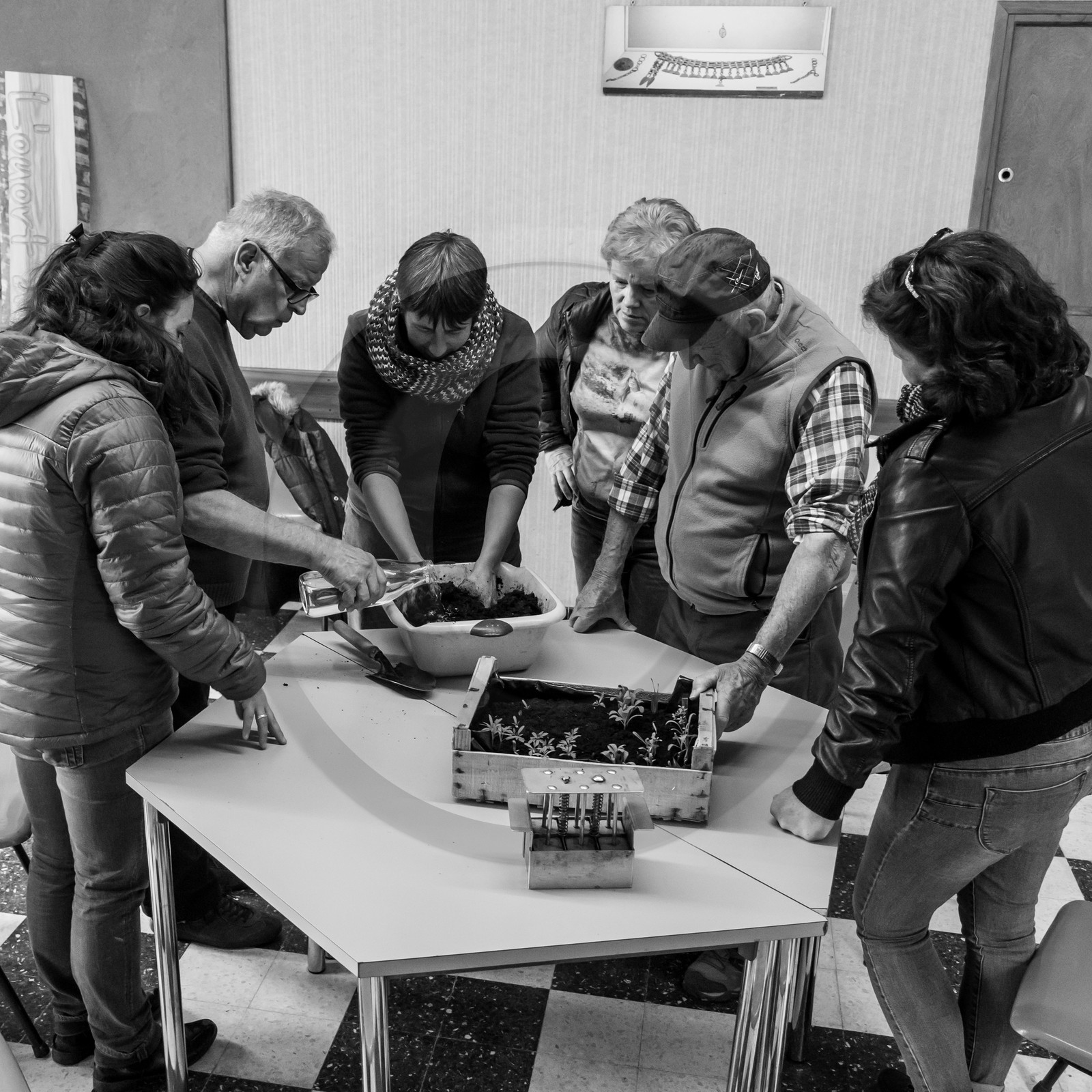 Atelier repiquage et semis - 26 04 2017